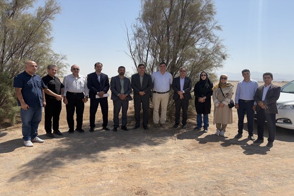 احداث مرکز خدمات تخصصی اسب در شهرستان اشکذر در آینده نزدیک